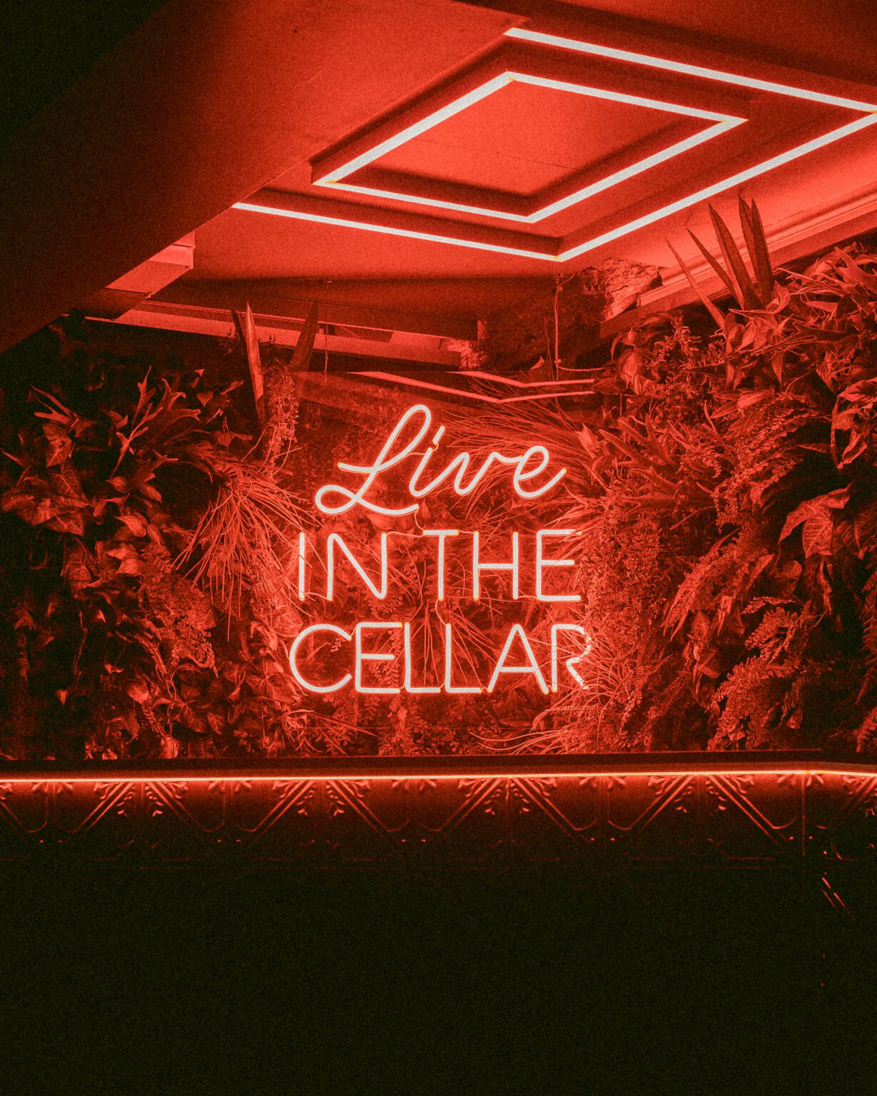 The Cellar Bar at Danny Doolans Bar & Private function venue Good